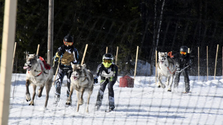 Viikonlopun nopeimman ajan 1.18.696 kellotti Murtaja, kuvassa valkoisella värillä ja ajajanaan Eero Päkkilä. Kuva: Camille Laurent