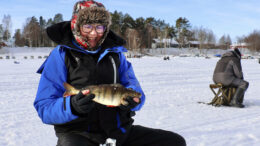 Oululainen Raija Tikkanen sai komean ahvenen. Kuvat: Tuija Järvelä-Uusitalo