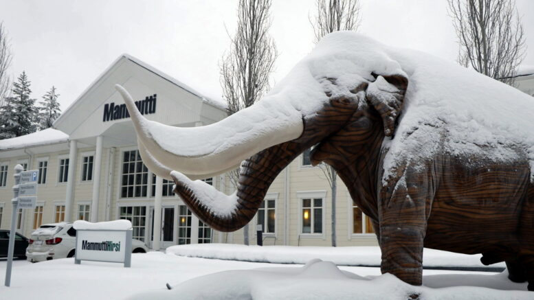 Ylikiiminkiläinen Mammuttihirsi käynnisti toimintansa uudelleen vuonna 2020 koronan keskellä, ja sen jälkeen markkinaa ovat ravistelleet muun muassa inflaatio, korkojen nousu, energiakriisi sekä Venäjän hyökkäyssota Ukrainaan. Tästä huolimatta yhtiö on onnistunut kasvamaan. Kuvat: Teea Tunturi