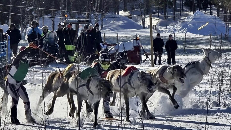Poro Cupin Sallan osakilpailun vauhdin hurmaa. Rantapohjan alueen porot ja ajajat ovat pärjänneet hyvin tämän vuoden osakilpailuissa. Kuvassa Eero Päkkilä ajaa Väijyä punaisella värillä. Tommi Kynkäänniemi ajaa Kutia valkoisella värillä. Kuva: Artur Wilczyński
