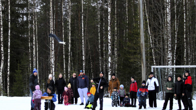 Saappaanheitto keräsi sekä osallistujia että katsojia runsaasti. Aiempien vuosien moninkertainen mestari Veli Ojala ei tällä kertaa ollut mukana kilvassa, joten yrittäjiä uudeksi voittajaksi riitti. Kuvat: Ritva Piri