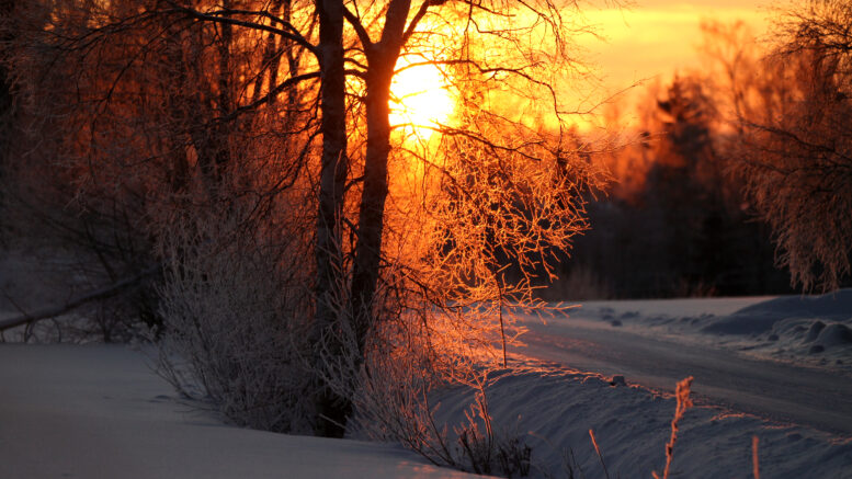 Pakkasaurinko näyttäytyi usein helmikuussa.