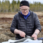 Oulusalolainen Matti Onkamo perkasi kalojaan Vaaralammin rannalla.