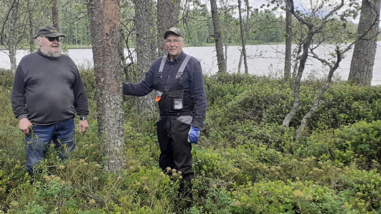 Erkki Tikkanen ja Markku Takala seisovat Mustaniemen pakopirtin paikoilla. Tarkkaa paikkaa he eivät enää muistaneet mutta todennäköisin paikka on heidän oikealla puolella olevassa vähäisessä painanteessa mikä viittaisi siihen, että mökki on ollut takana näkyvän rantapenkereen suojassa ja puolittain maahan kaivettu. Kuvat: Veikko Jurvakainen