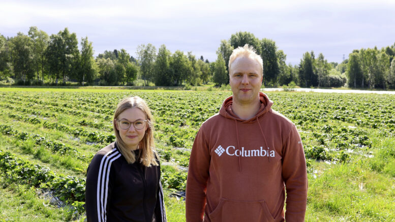 Heidi Saarela ja Jaakko Leiviskä ovat pyörittäneet mansikkatilaa vuodesta 2021 asti. Kuvat: Tuuli Turunen