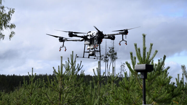Ruiskutusdroonia testattiin Kuusamon yhteismetsässä syyskuun alussa. Kuva: Metsäkeskus